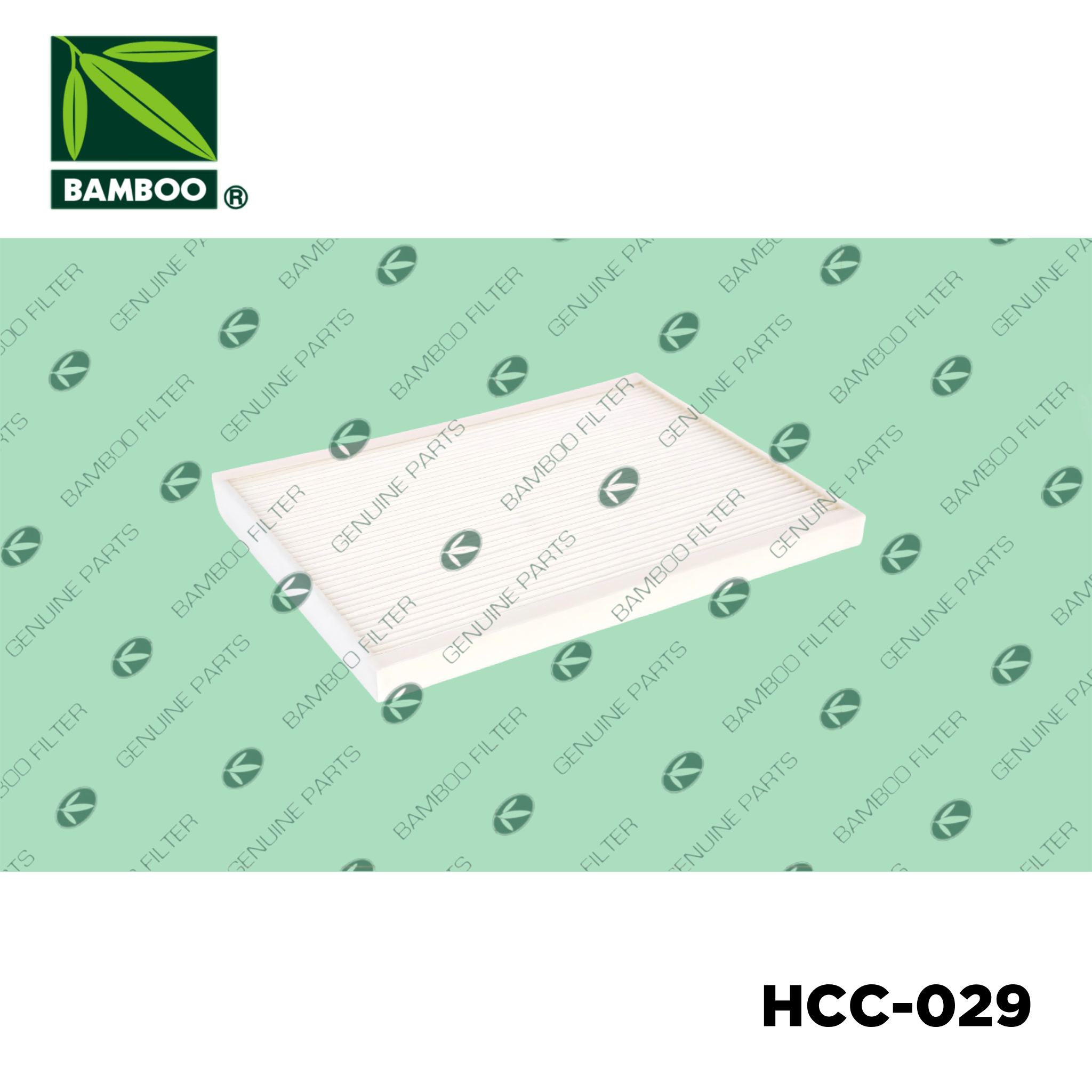 HCC-029