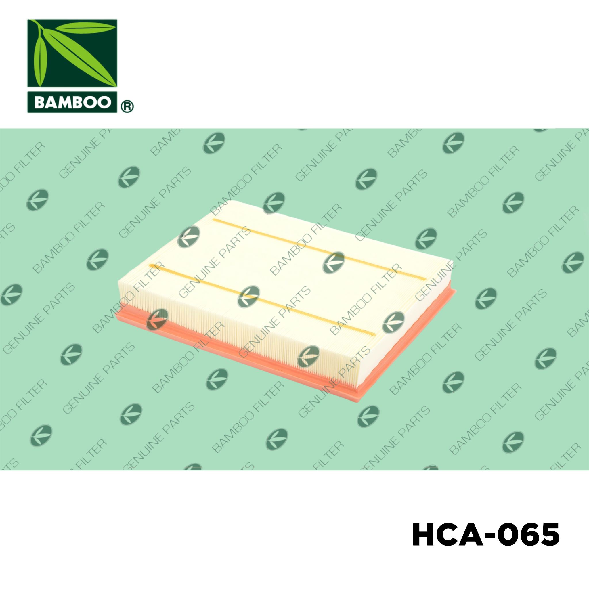 HCA-065