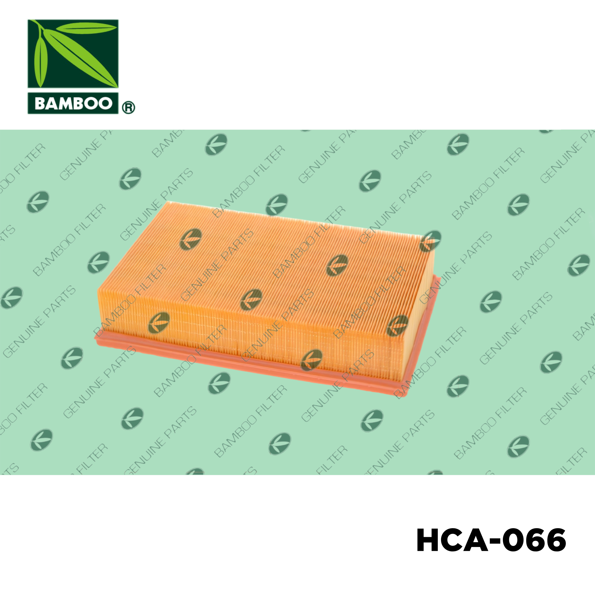 HCA-066