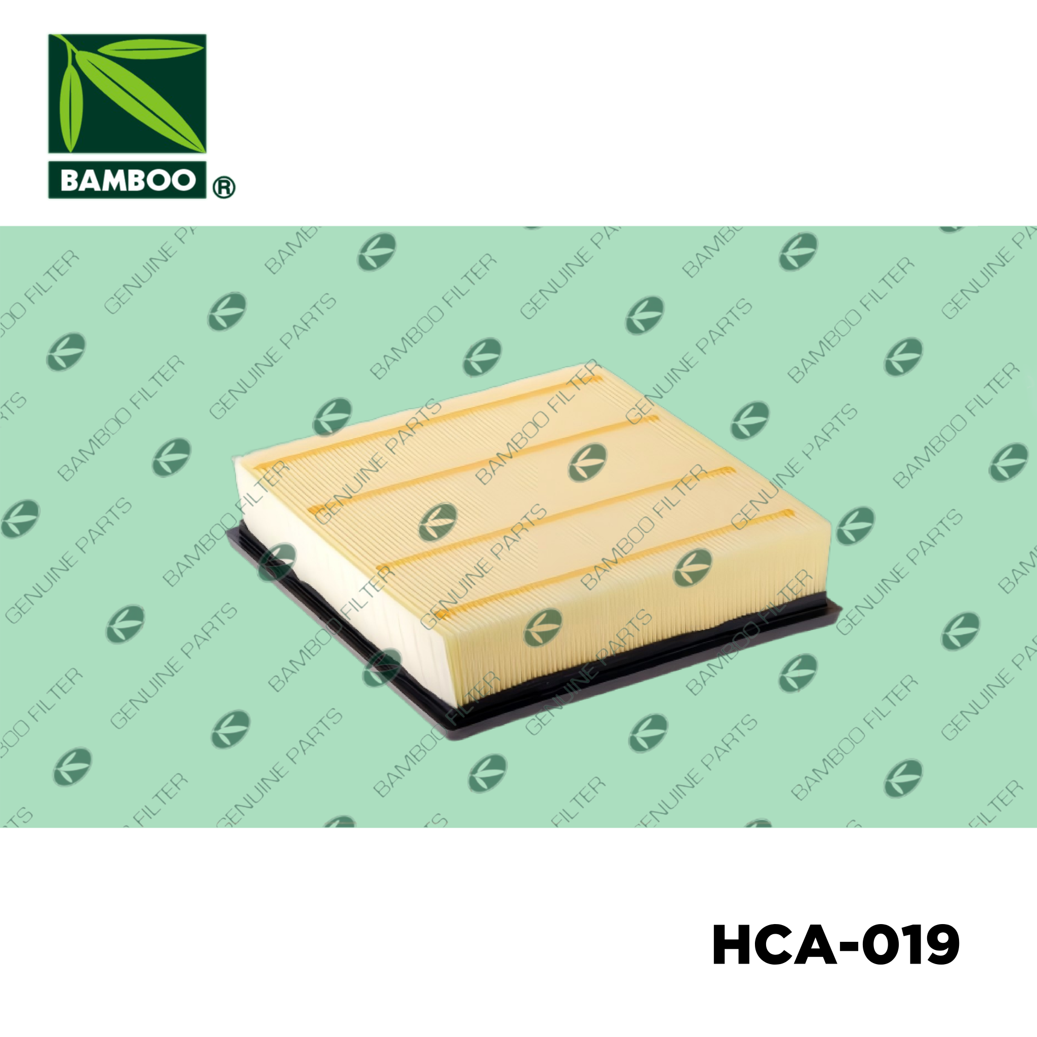 HCA-019