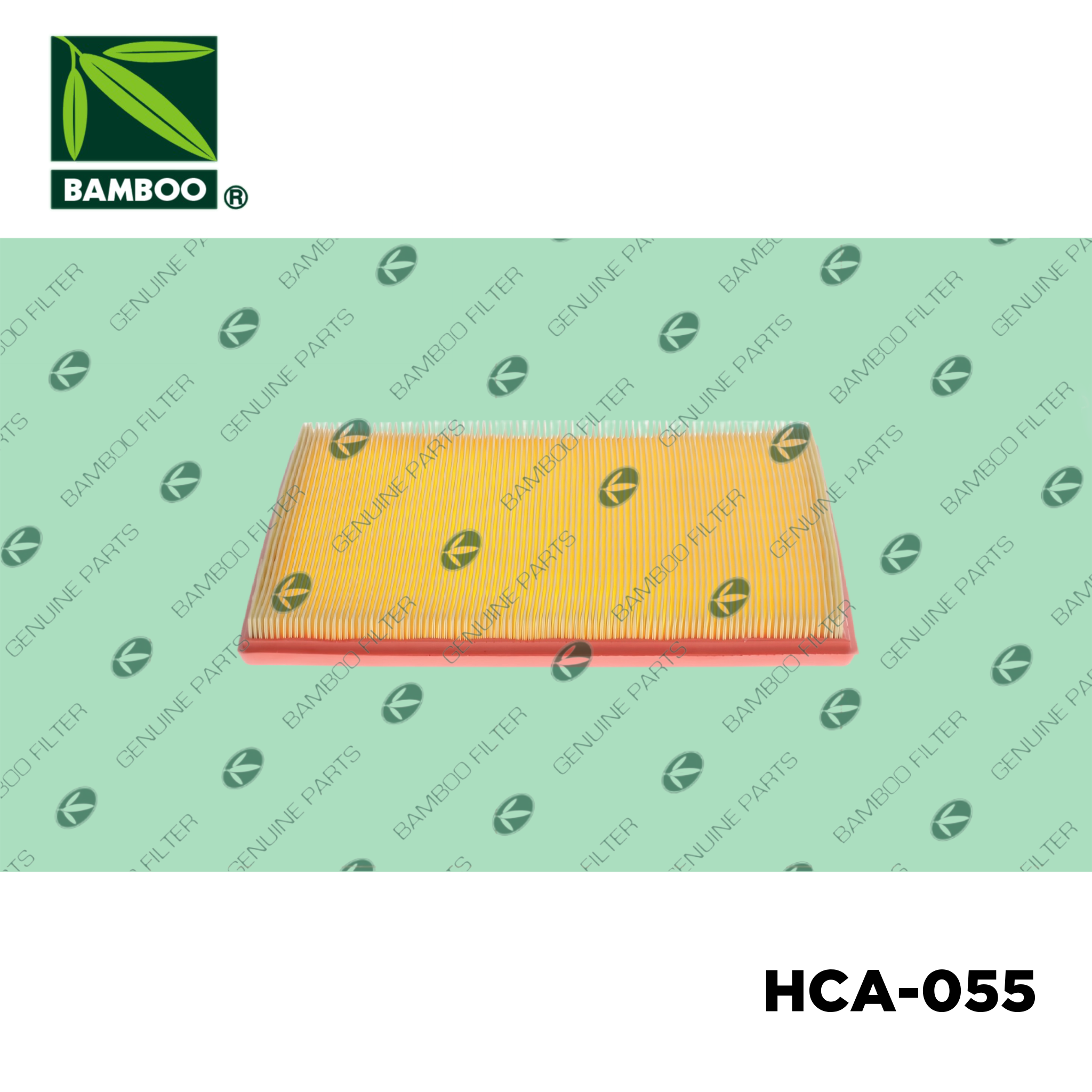 HCA-055