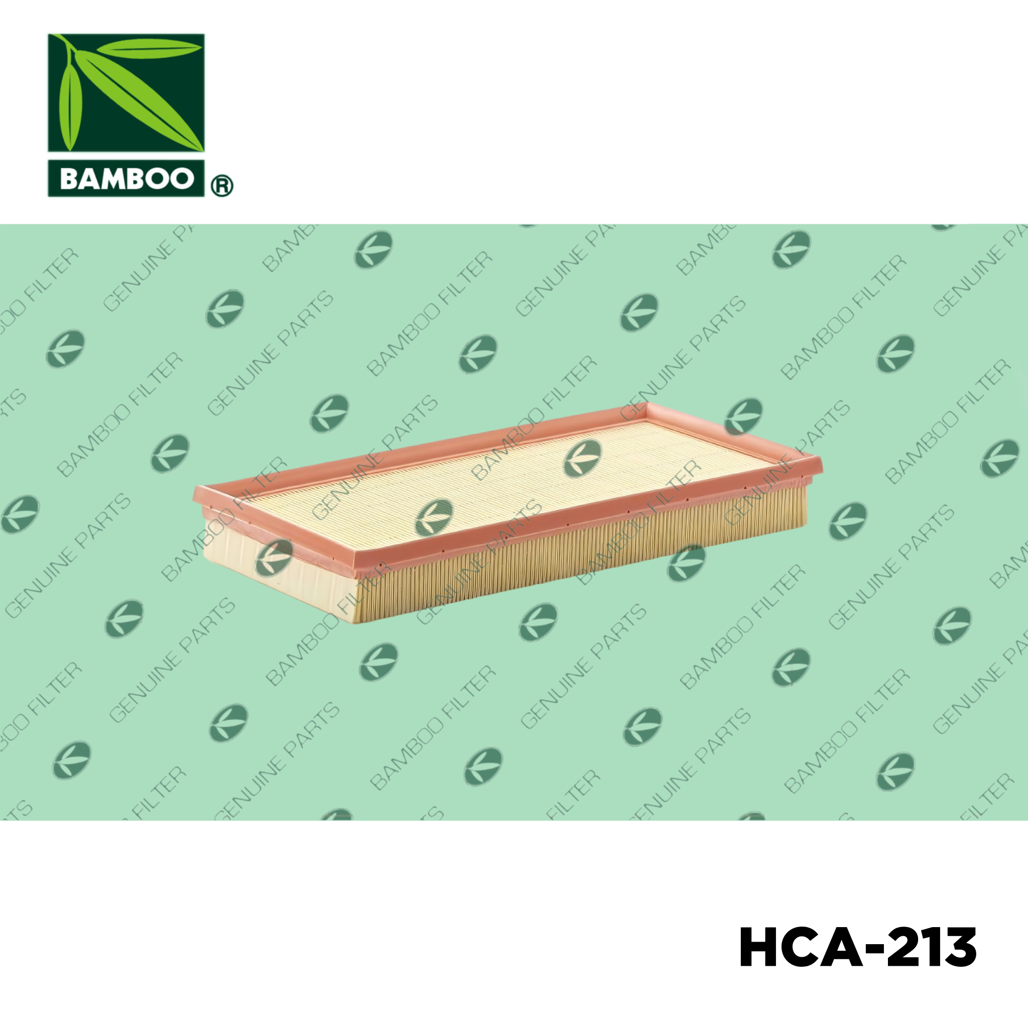 HCA-213