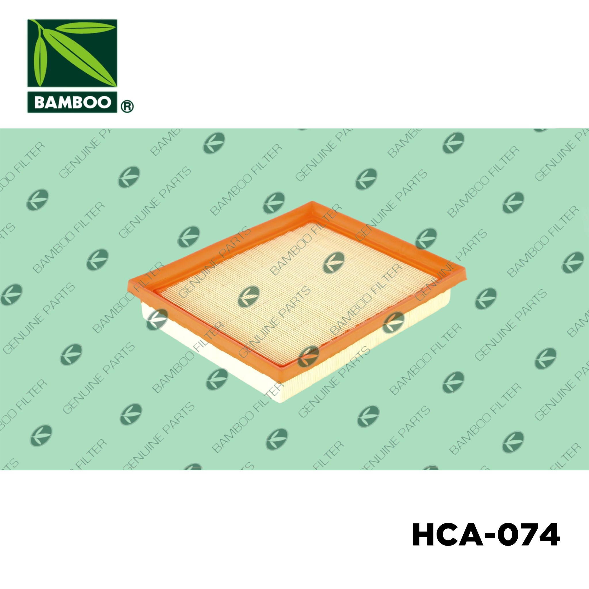 HCA-074