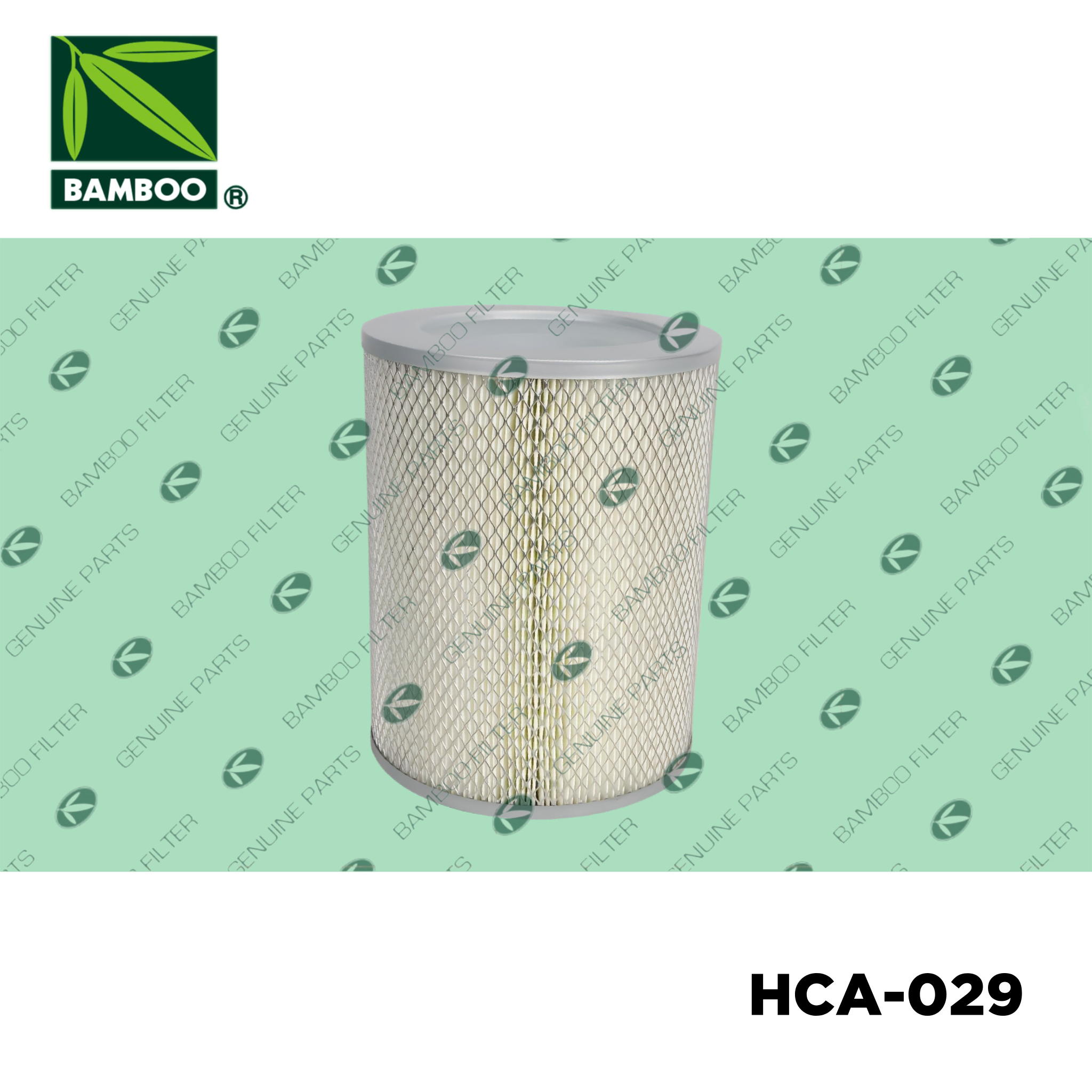 HCA-029