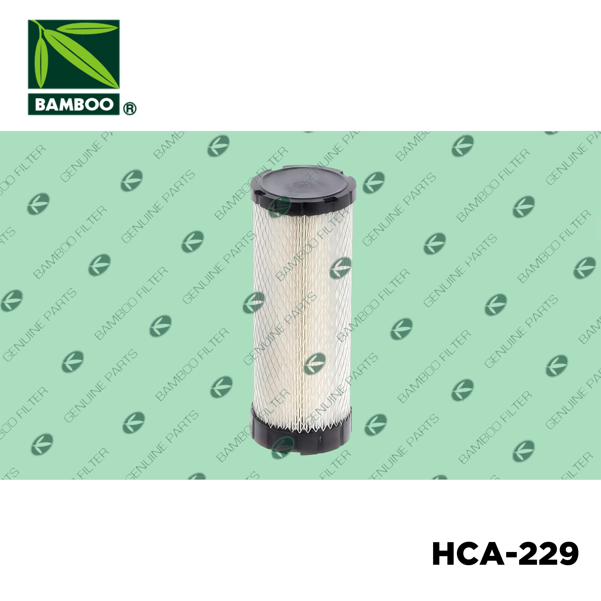 HCA-229