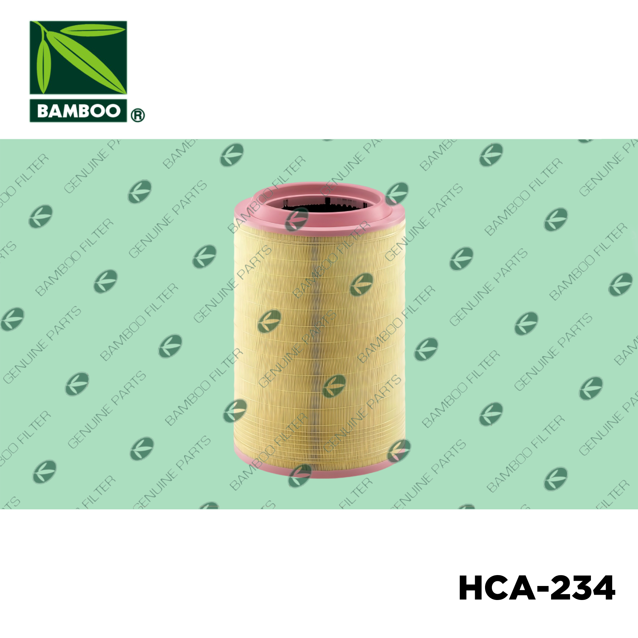 HCA-234