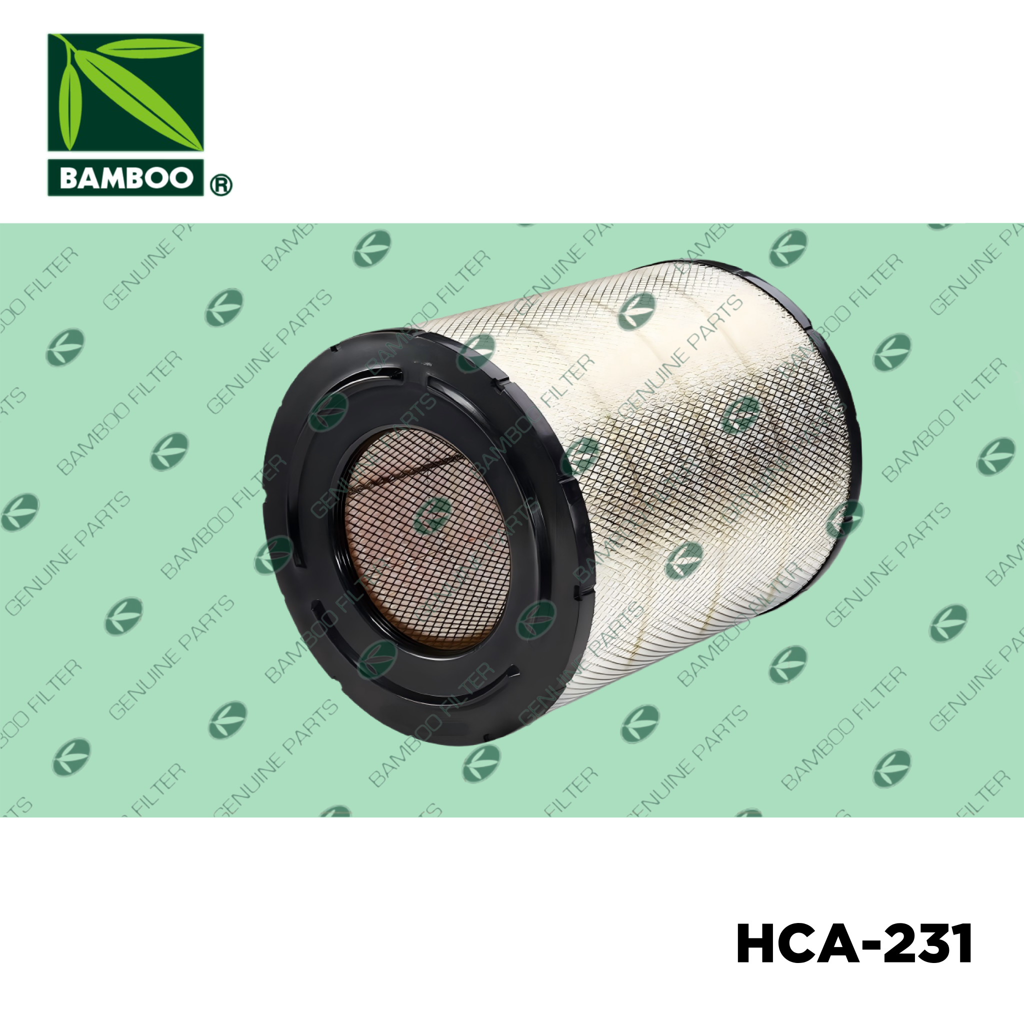 HCA-231