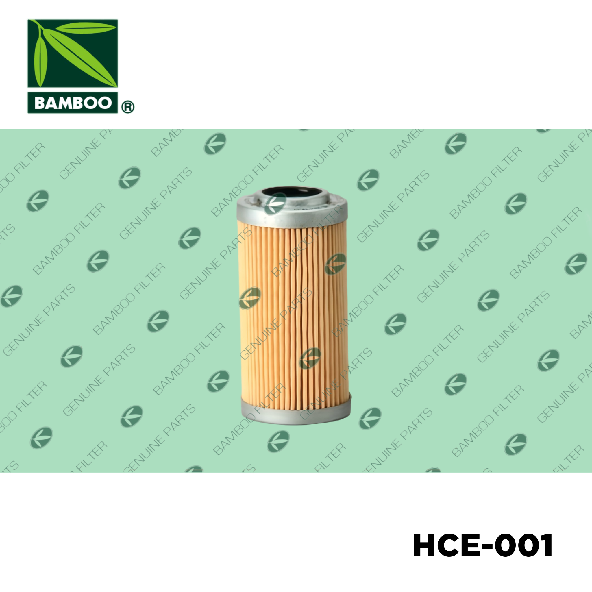 HCE-001