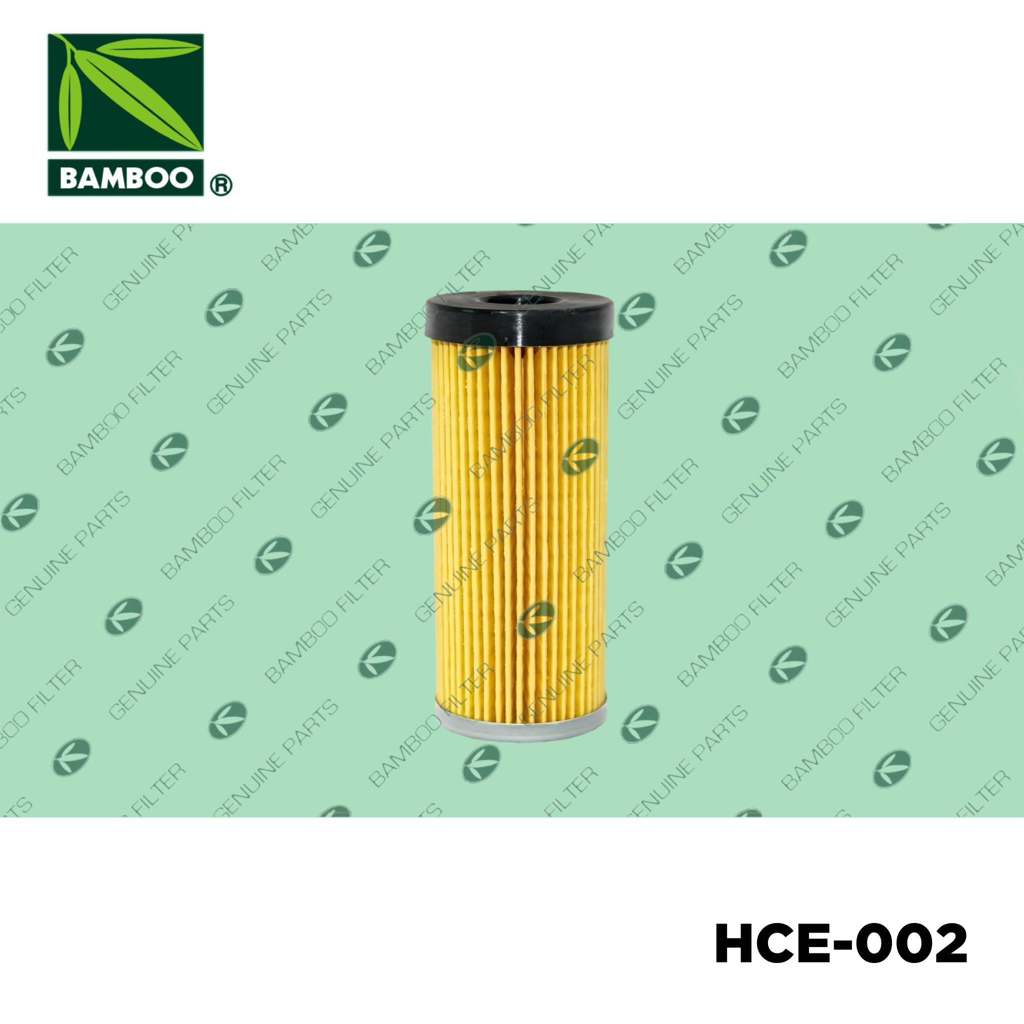 HCE-002 HCH-317
