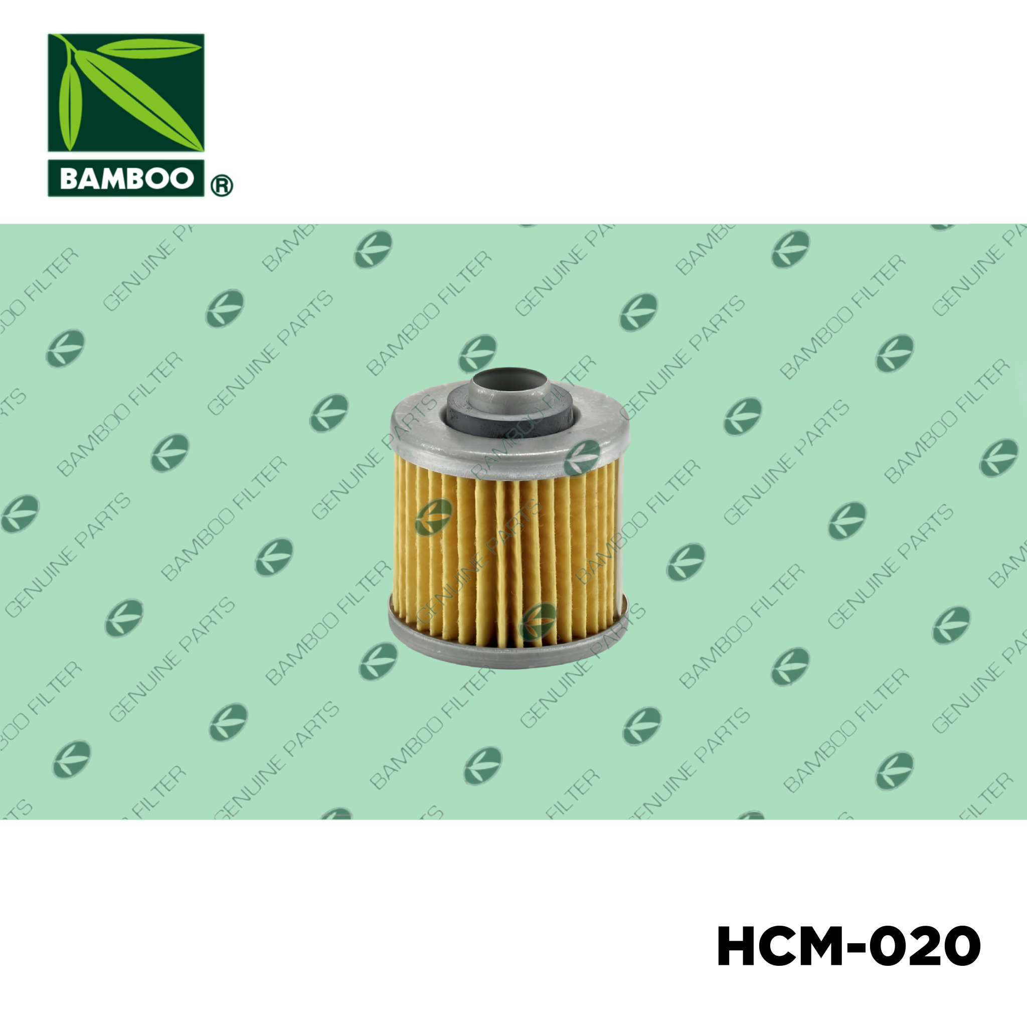 HCM-020